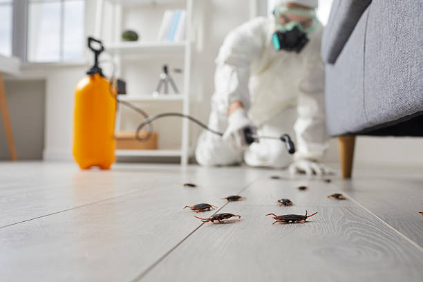 Commercial Kitchen Cockroach Control in Jewett City